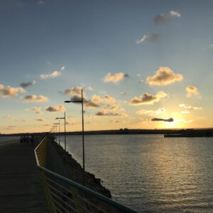 IMG_1412-scaled-300x300 Bilder