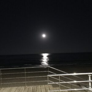 IMG_1460-scaled-300x300 Bilder