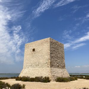 IMG_7169-scaled-300x300 Bilder