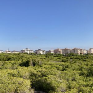 IMG_7228-scaled-300x300 Bilder