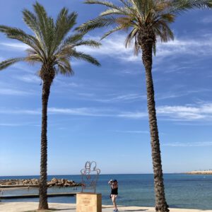 IMG_8263-scaled-300x300 Bilder