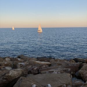 IMG_8494-scaled-300x300 Bilder