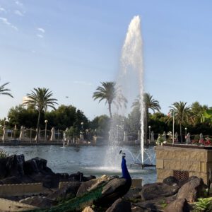 IMG_8621-scaled-300x300 Bilder