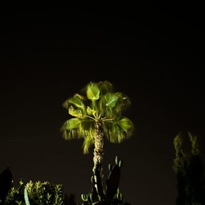 IMG_8946-scaled-300x300 Bilder