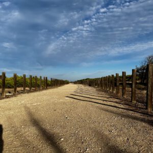 IMG_8967-scaled-300x300 Bilder