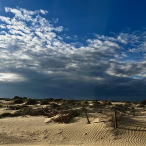 IMG_8974-scaled-300x300 Bilder