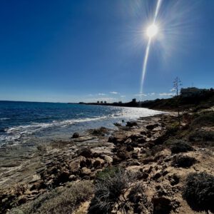 IMG_8982-scaled-300x300 Bilder