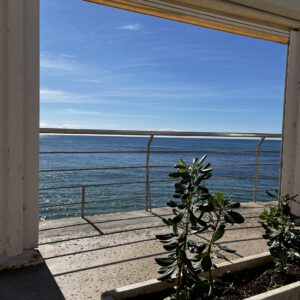 IMG_8987-scaled-300x300 Bilder