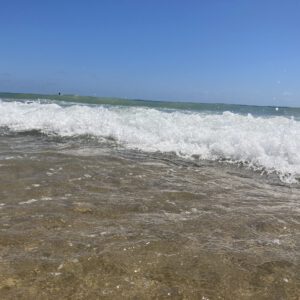 cropped-IMG_8602-scaled-2-300x300 Bilder