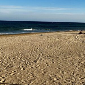 cropped-IMG_8970-scaled-1-300x300 Bilder