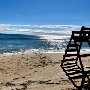 cropped-IMG_8981-scaled-2-300x300 Bilder