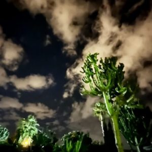 cropped-IMG_8983-scaled-1-300x300 Bilder